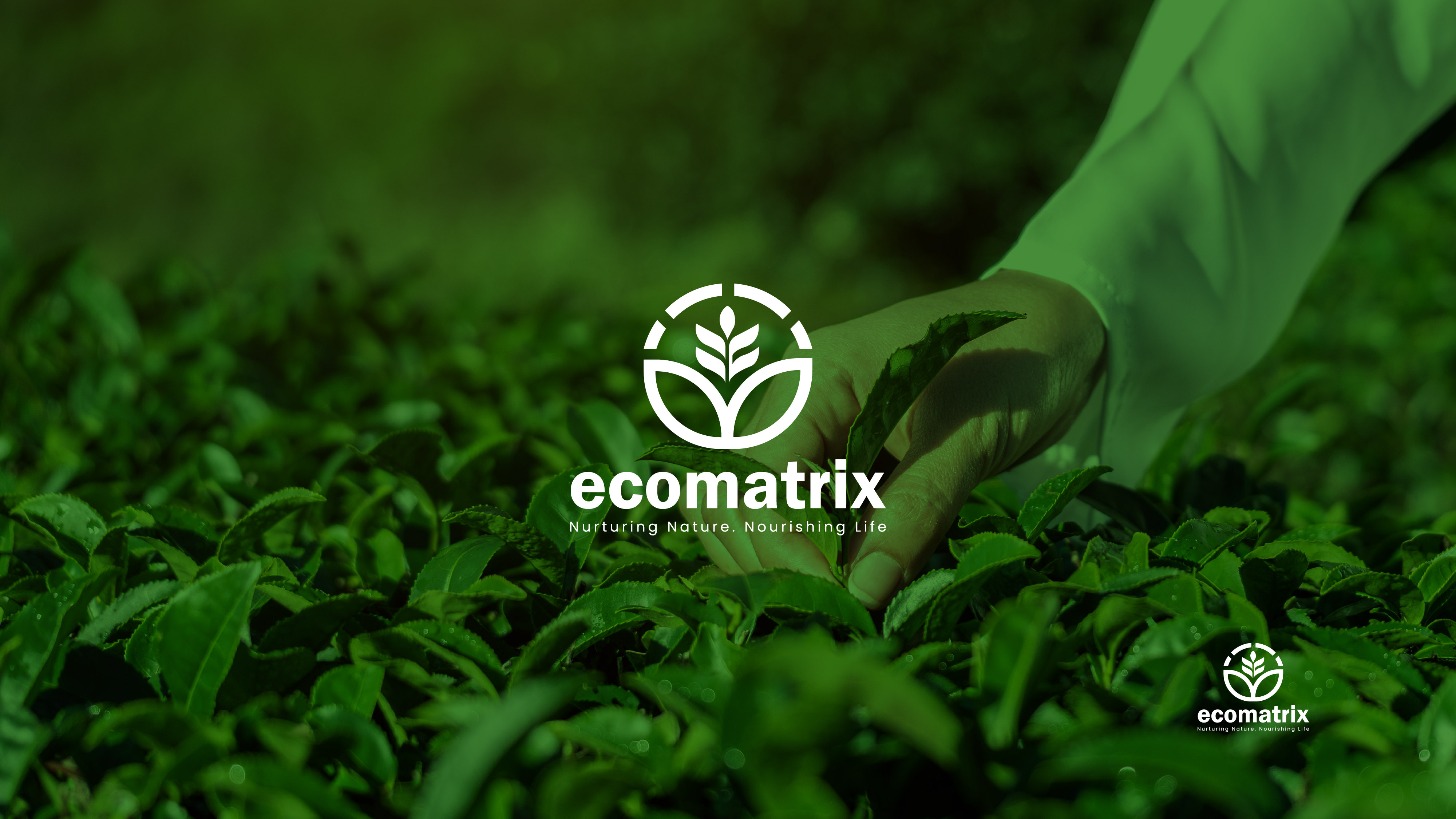 Eco-Friendly Agriculture Logo & Brand Identity brand identity. brand style guide branding branding design business logo creative branding enviroment logo logo design logo designer logo inspiration logo maker logo type minimal logo nature lover organic planting