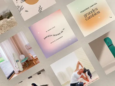 Branding Murdana branding graphic design vector