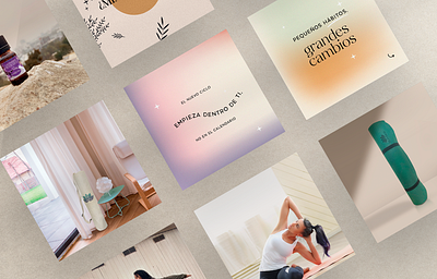 Branding Murdana branding graphic design vector