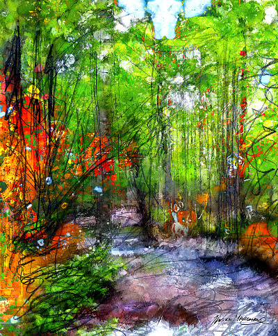 Ruisseau dans la forêt