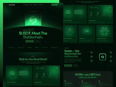 Website Design for Blockchain - Stable blockchain blockchain landing page crypto agency design crypto platform cryptocurrency dark mode ui digital currency website fintech ui fintech website modern website ui stablecoin website uiux design uiux inspiration web design website