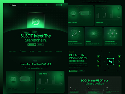 Website Design for Blockchain - Stable blockchain blockchain landing page crypto agency design crypto platform cryptocurrency dark mode ui digital currency website fintech ui fintech website modern website ui stablecoin website uiux design uiux inspiration web design website