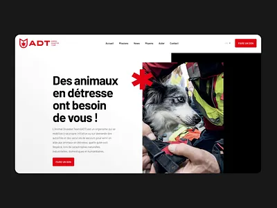 ADT Rescue animals belgium branding brussels cats charity dogs graphic design logo rescue