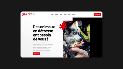 ADT Rescue animals belgium branding brussels cats charity dogs graphic design logo rescue