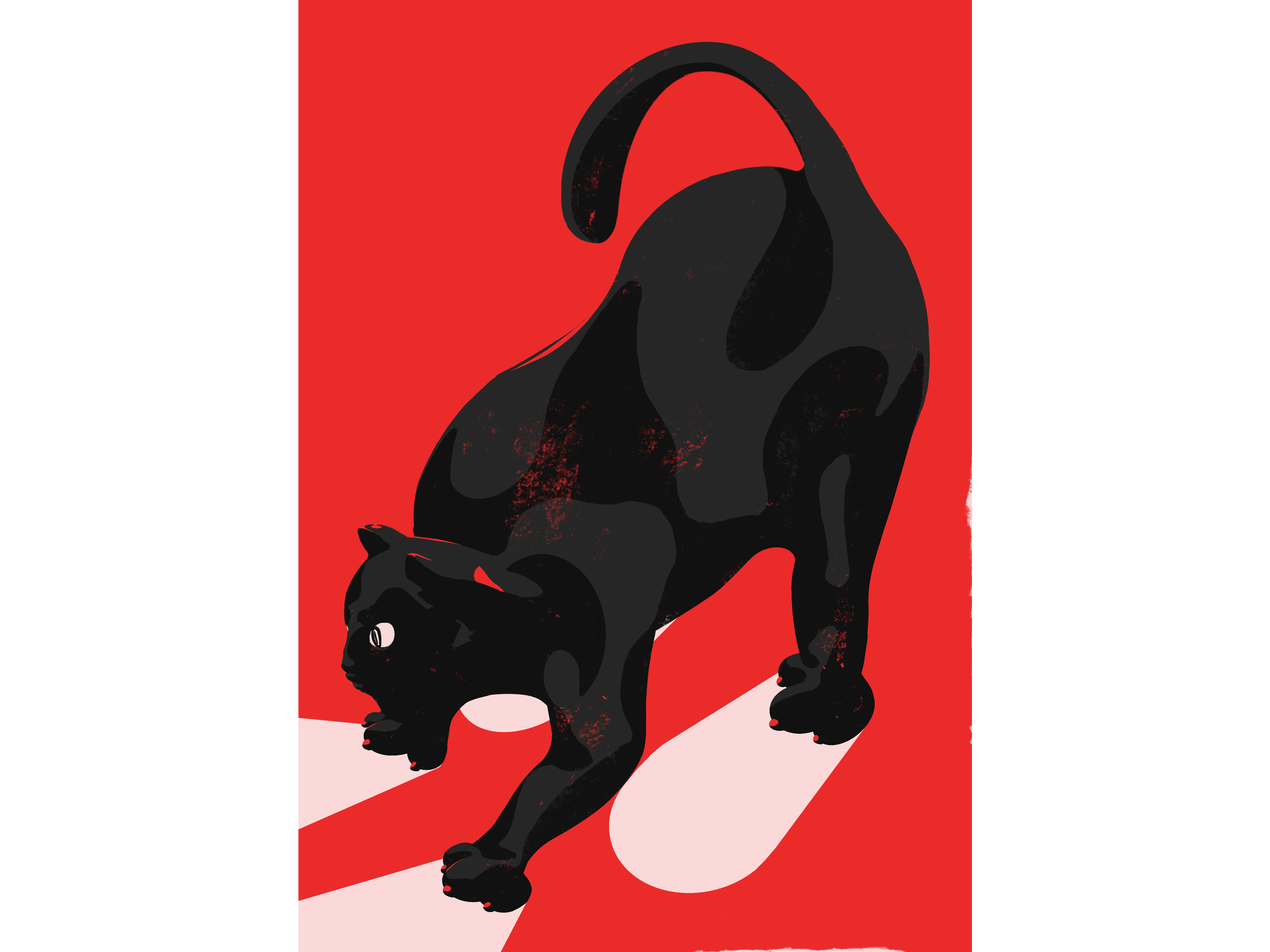 Kitty Cat cat hand drawn illustration