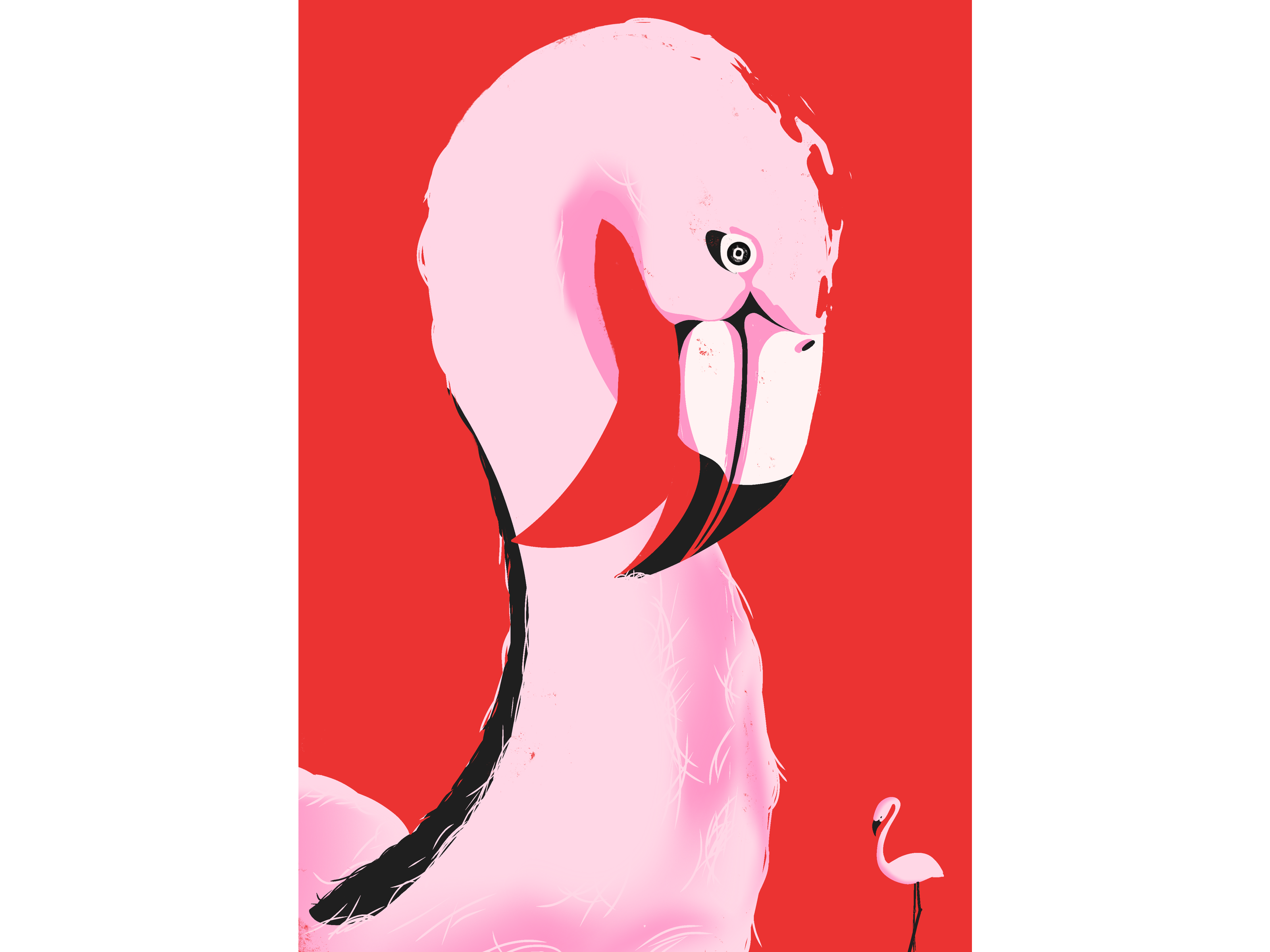 Flamingo flamingo hand drawn illustration