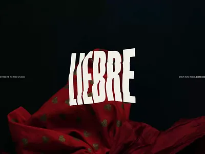 Liebre brand branding design logo logo design logotype