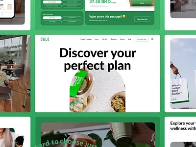 Designing Calo’s Digital Experience for a Diverse Middle East accessibility arabic ui branding cultural design design system interaction design layout design minimal design modern aesthetics multilingual website product design prototyping responsive design ui design user experience ux design uxui design visual design web design website redesign