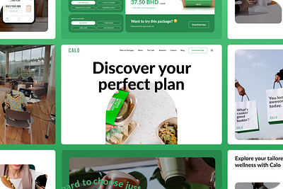 Designing Calo’s Digital Experience for a Diverse Middle East accessibility arabic ui branding cultural design design system interaction design layout design minimal design modern aesthetics multilingual website product design prototyping responsive design ui design user experience ux design uxui design visual design web design website redesign