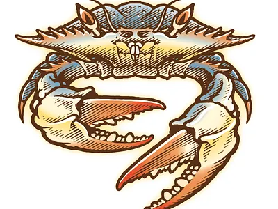 A crabby crab illustration for an organic fertilizer company branding classic illustration logo packaging pen and ink vector art vintage woodcut