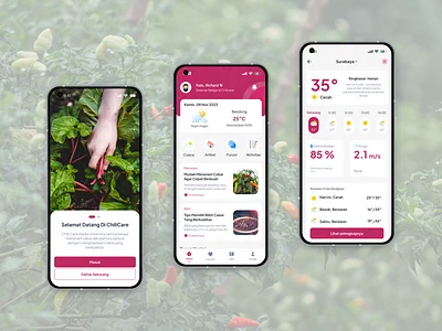 🌶️ ChiliCare – Sustainable Agriculture Management Mobile App agriculture app agriculture technology agritech chilicare design thinking education design farming app learning app mobile app sustainable agriculture sustainable design ui uiux design user experience user interface ux design