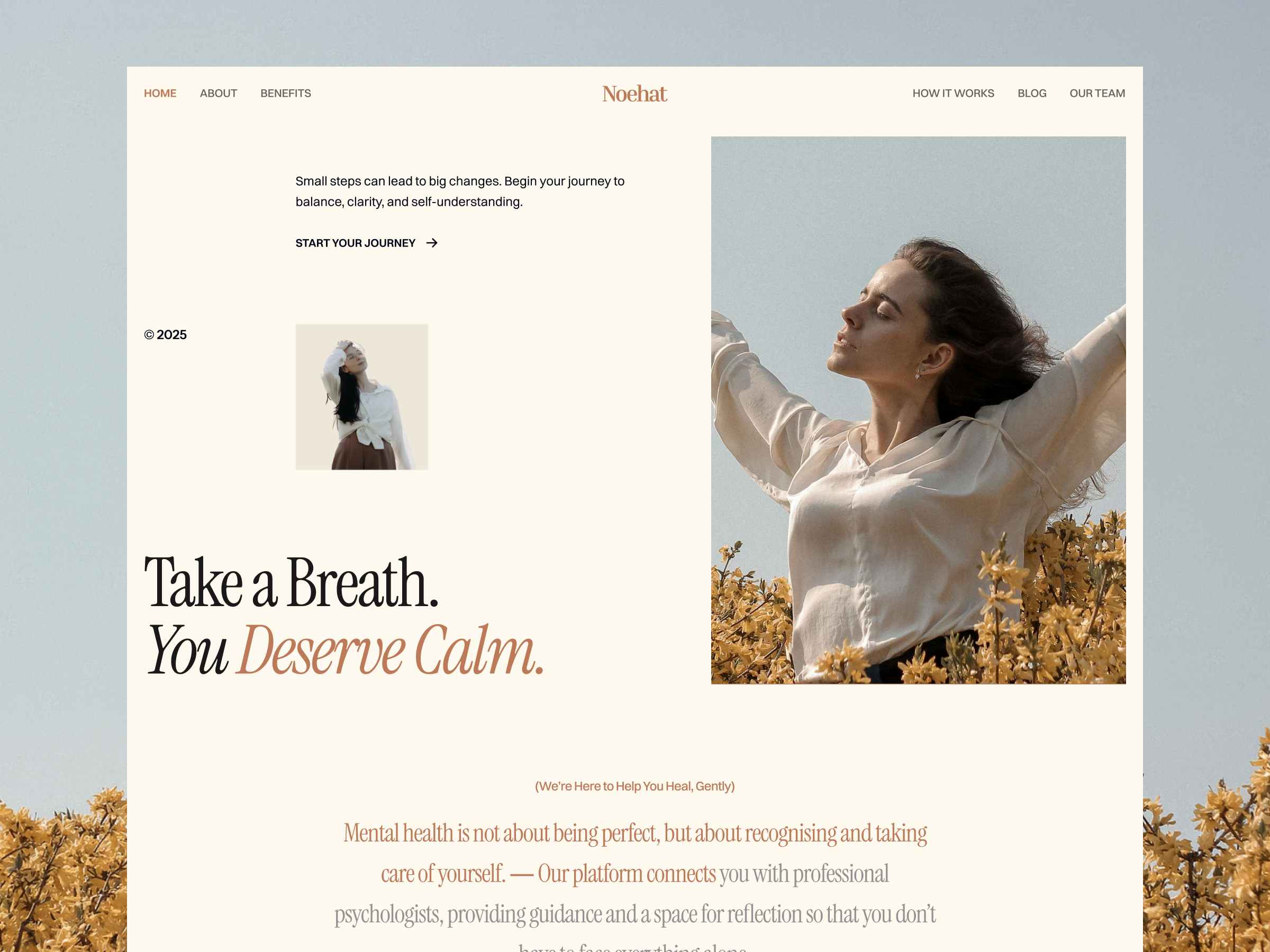 Noehat - Mental Health Website Concept animation clean clean design editorial health and wellness hero luxury luxury website mental health minimalist design typography ui ui ux design web design website website design
