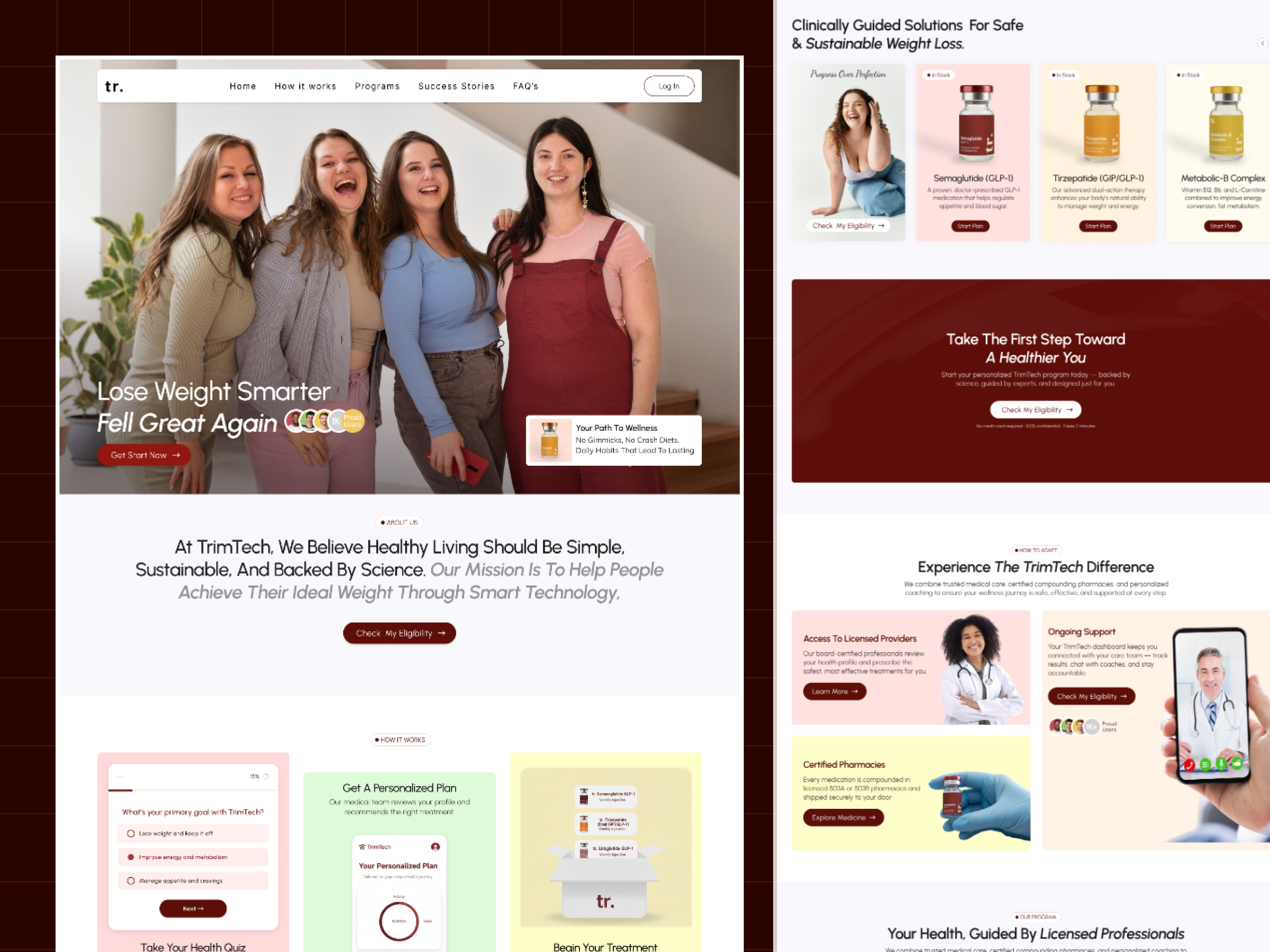 Example of Premium Landing Page Design