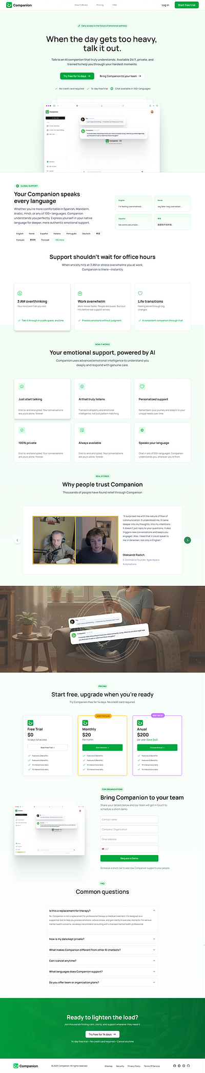 Companion Landing page brand branding corporate graphic design logo ux web