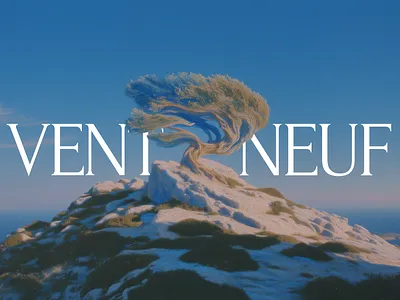 Vent Neuf . Brand Identity brand creation brand identity branding design graphic design illustration logo logo design