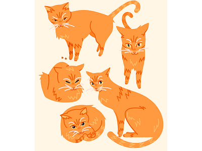 Chandler cat cats digital art digital illustration illustration kids illustration vector vector illustration