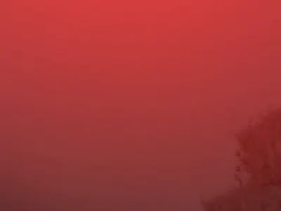 Tint Drop Social Media Ad for Gle Calligraphy animation brand identity branding design graphic design motion graphics social media ad ui design uiux design