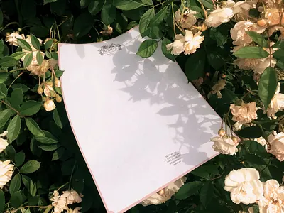 Tartelette aini medina branding dessert logo stationery