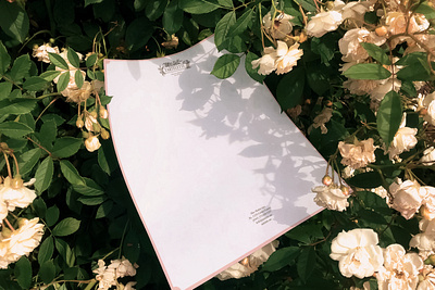 Tartelette aini medina branding dessert logo stationery