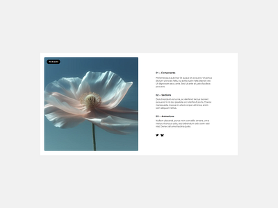 The Blueprint - Info 06 (Variation) component library hero sections minimalism web design webflow