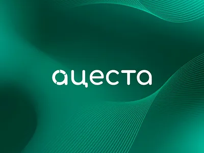 Identity for Analytical Platform in Tourism analytics branding identiity logo tourism