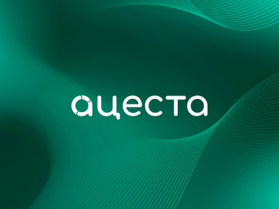 Identity for Analytical Platform in Tourism analytics branding identiity logo tourism