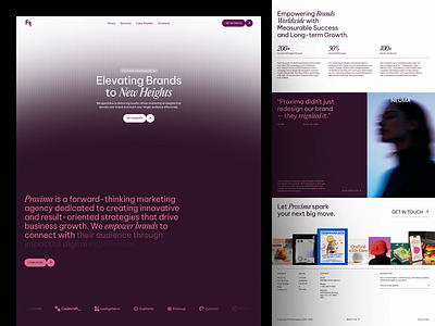 Proxima – Online Education Platform Landing Page animation design education landing page platform ui ui design uiux ux design web design website