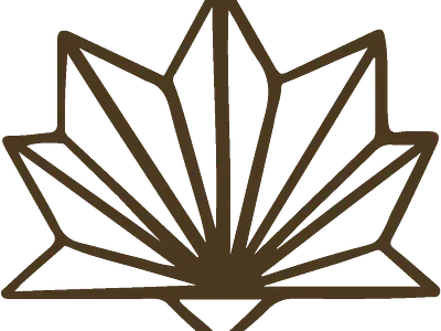 Alchemia Brand Design brand board brand design branding graphic design illustration illustrator logo typography web design