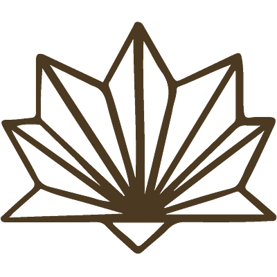 Alchemia Brand Design brand board brand design branding graphic design illustration illustrator logo typography web design