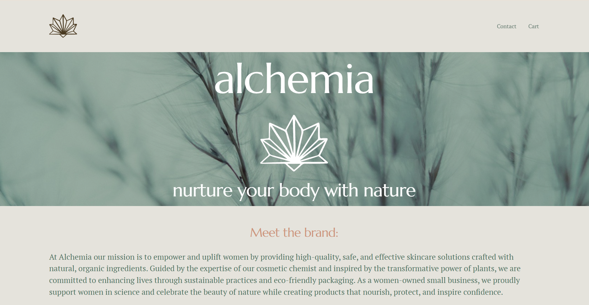 Example of Web Design