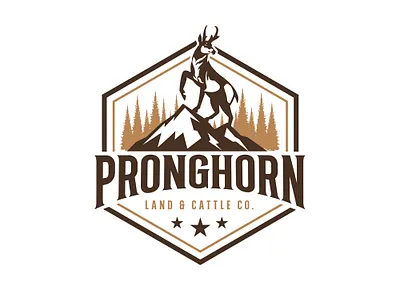 PRONGHORN Logo 3d animation branding graphic design logo motion graphics ui