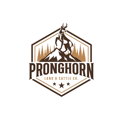 PRONGHORN Logo 3d animation branding graphic design logo motion graphics ui