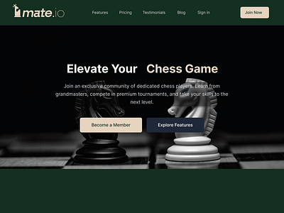 Mate.io Webapp branding design figma grafiko labs graphic design logo logo design modern ui premium premium website simple logo ui ui branding ux web app web dev webapp website website dev