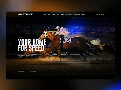 Equine Web Site Design equestrian web design equestrian website design equine web design equine website design
