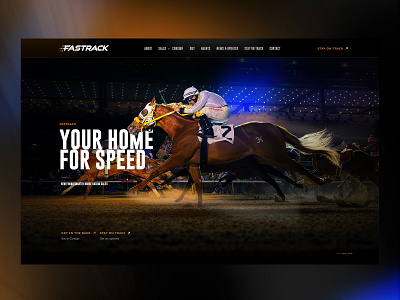 Equine Web Site Design equestrian web design equestrian website design equine web design equine website design