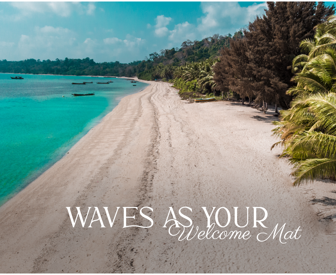 Munjoh branding creative design design graphic design marketing social media visual identity