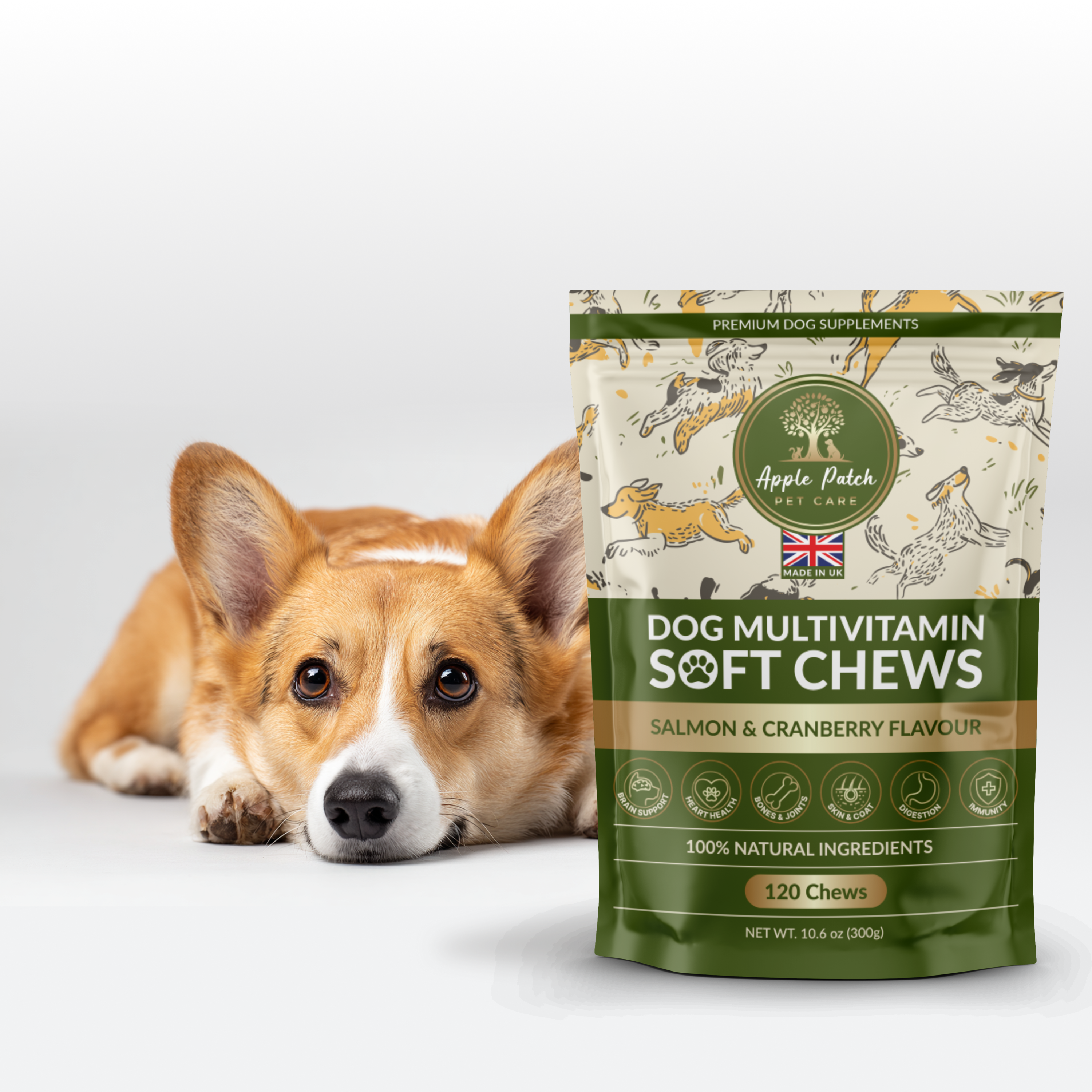 Packaging design (pouch) Dog Multivitamin Soft Chews a content amazon amazon design amazon listing amazon seller branding commercial design dog dog pattern dog supplement e commerce ebay graphic design illustration packaging design private label product design supplements