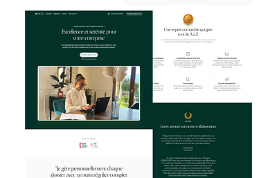 Landing page : accounting firm accounting branding class colors gold green landing page logo premium webdesign
