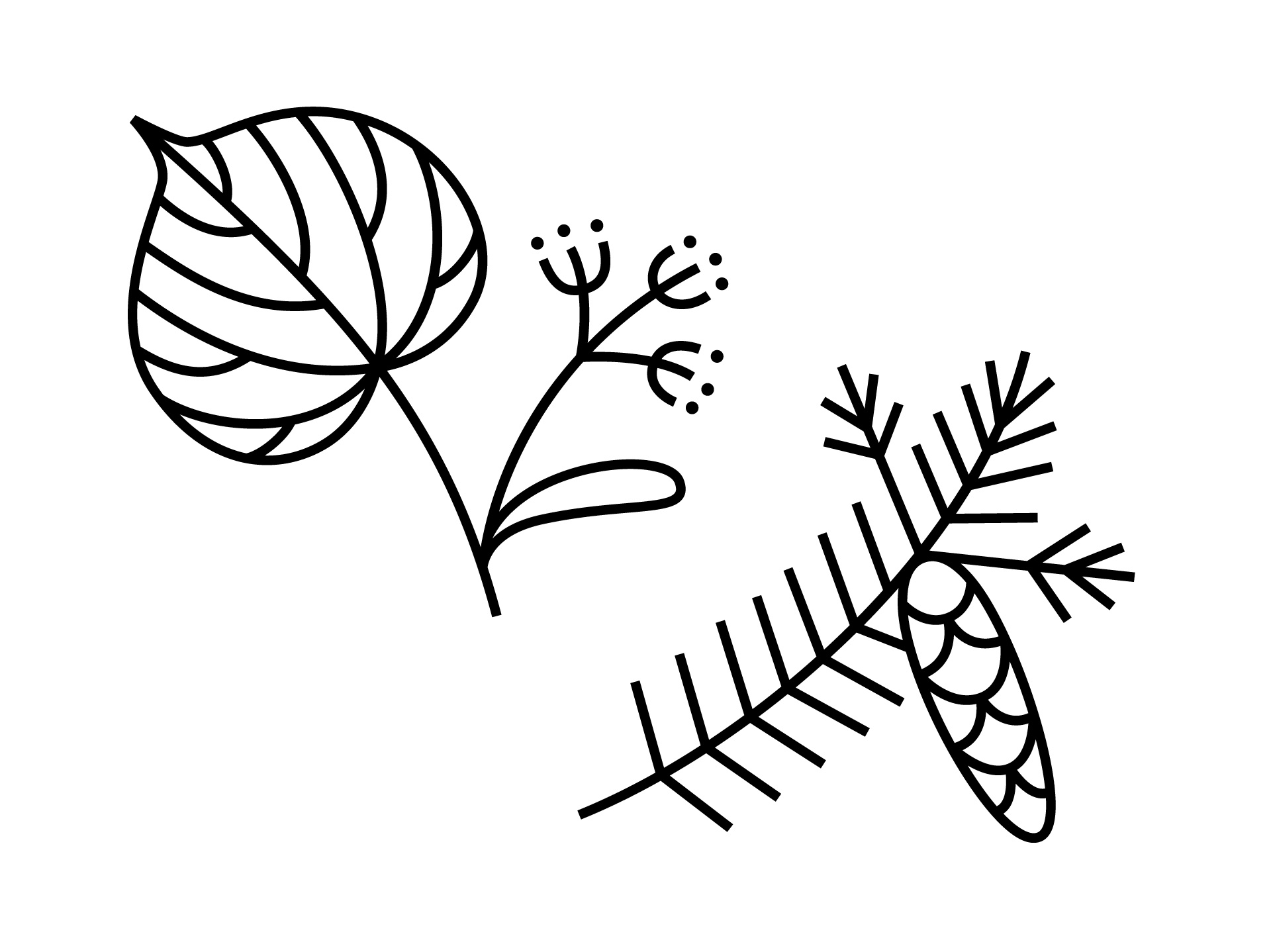 Example of Spring Plaque Design
