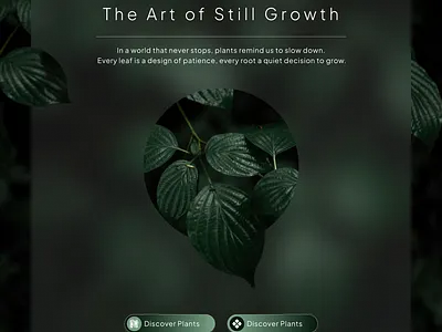 The Art of Still Growth — UI Concept app branding design figma graphic design illustration landing page logo mobile motion graphics ui ui design ux web design