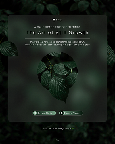 The Art of Still Growth — UI Concept app branding design figma graphic design illustration landing page logo mobile motion graphics ui ui design ux web design