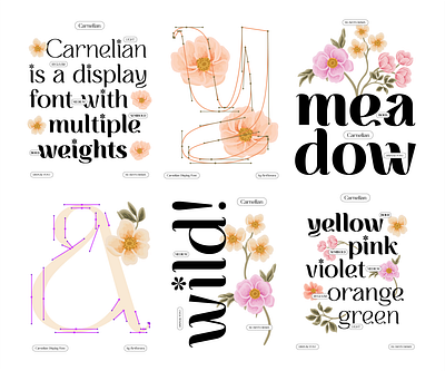 CARNELIAN - Display Flowery Variable Font botanical brand identity branding display font floral illustration flower font flower illustration font design logotype multiple weights nature type design typeface typography ui variable font variable type web font