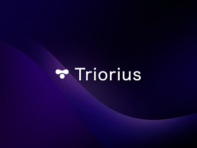 Triorius logo brand branding design graphic design icon illustration logo typography vector