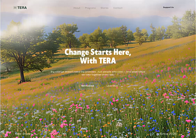 Tera Website 3d branding designer figma kasisolusi logo ngo ui