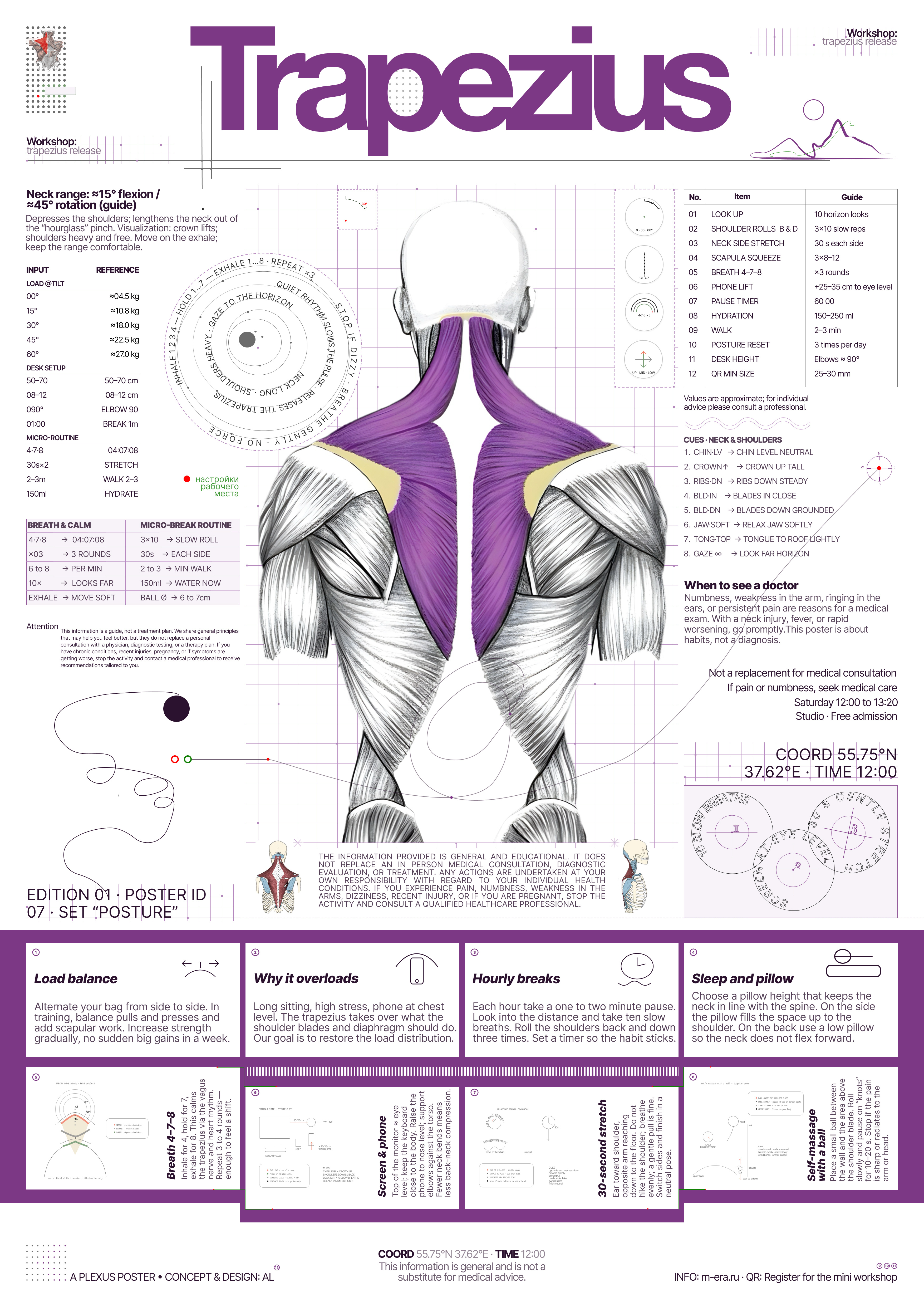 Trapezius Poster — Micro Workshop on Self-Regulation creative direction design graphic design ui web design