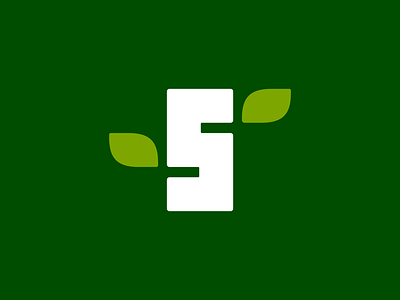 Birch Tree Logo birch branch brand identity eco eco friendly environment foliage forest green growth leaves log logo design nature organic roots sustainability tree trunk wild