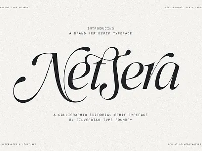 SLTF Netsera - Calligraphic Serif Typeface font font pak glyphs ligature font ligatures serif font serif typeface type typeface