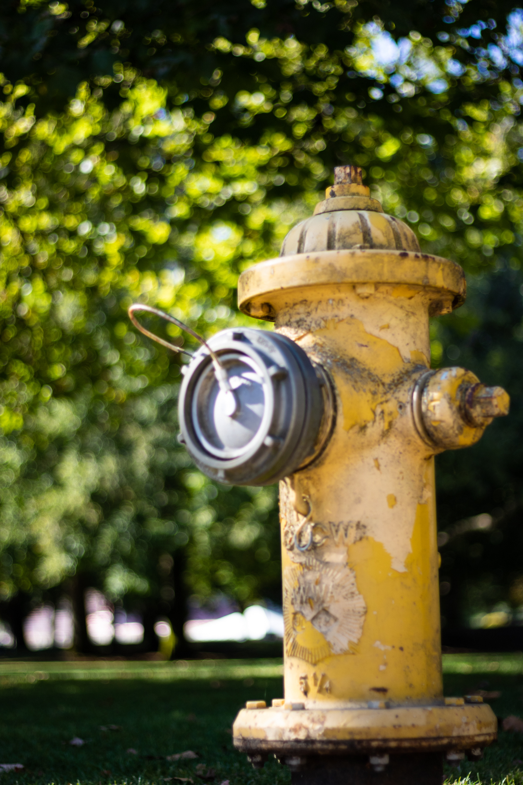 Hydrant photography