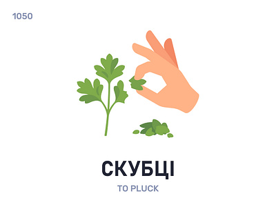 Скýбці / To pluck belarus belarusian language daily flat icon illustration vector word