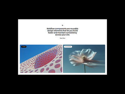 The Blueprint - Info 02 (Variation) component library hero sections minimalism web design webflow